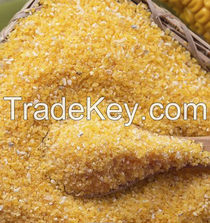 Best Quality Corn Gluten Meal