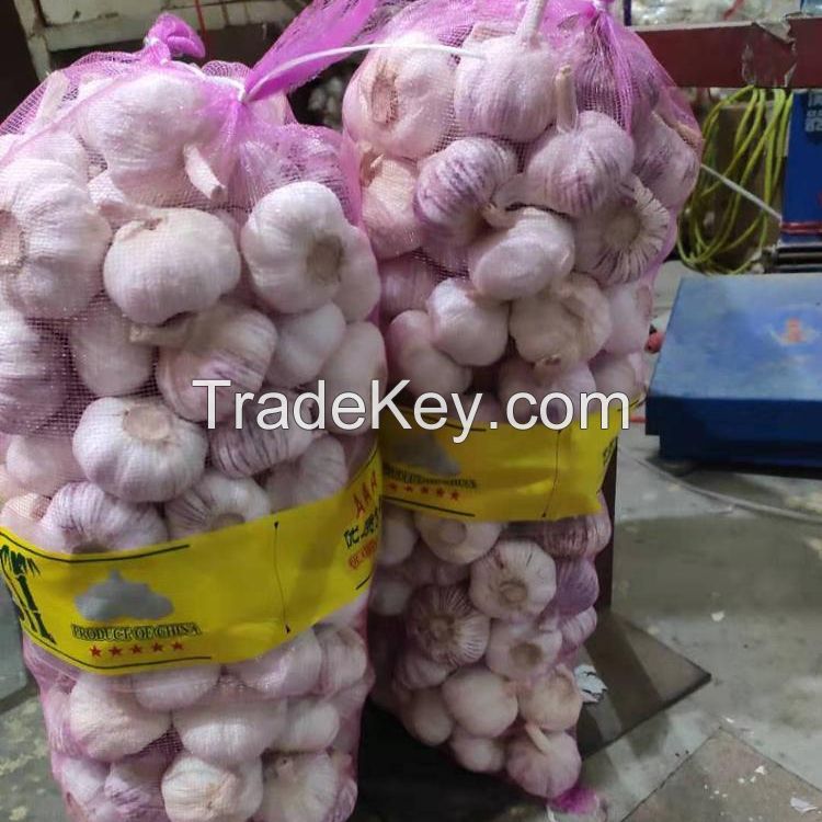 Distributor Wholesale Fresh Pure White Garlic