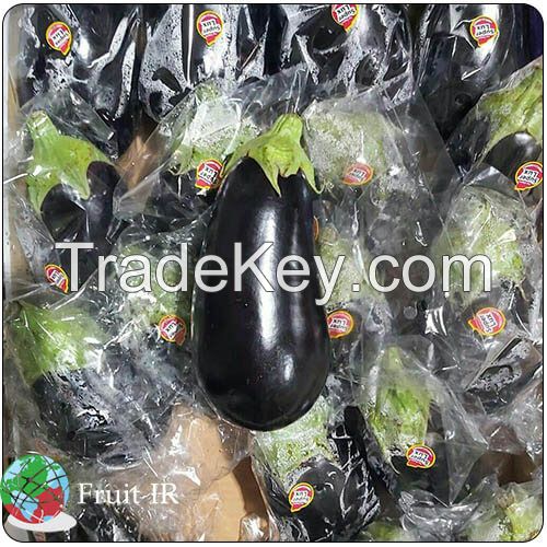 Top Iranian Eggplant (Long eggplant, Round eggplant, Baby eggplant)