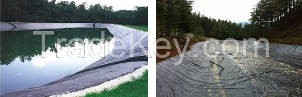HDPE Sheet
