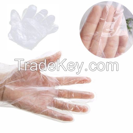 High Quality Hdpe Gloves transparent by Hanpak JSC