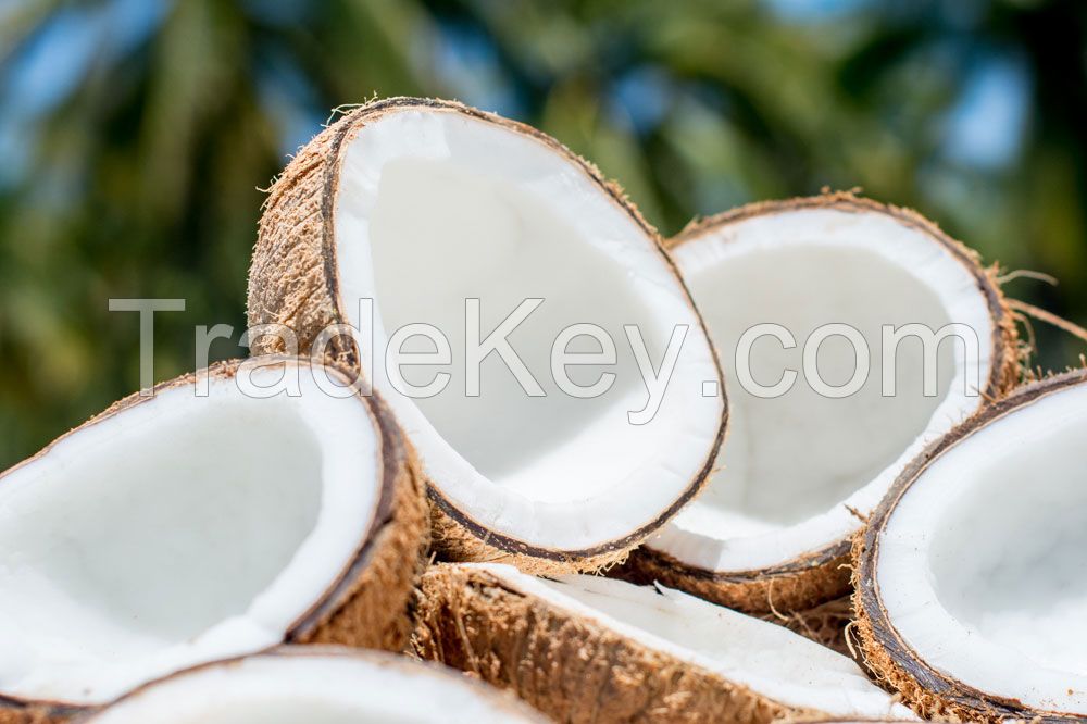 Coconut