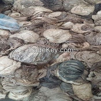 Dry / Salted Beef Omasum from Pakistan/ Buy Beef Omasum / Omasum Suppliers & Exporter