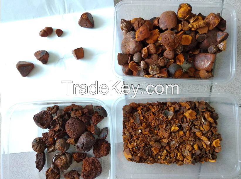 Ox gallstones