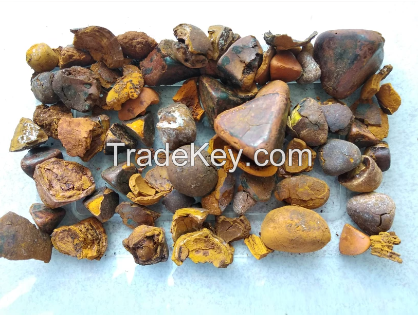 Ox gallstones