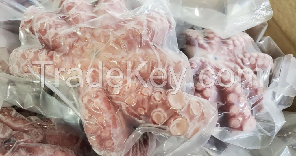 TOP GRADE FROZEN OCTOPUS AVAILABLE