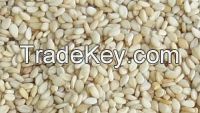 White Sesame seed