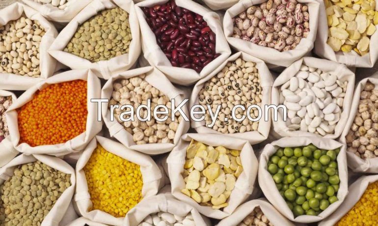 Long Grain Rice, Vegetables, Electric cars, pulses, cement, fly ash