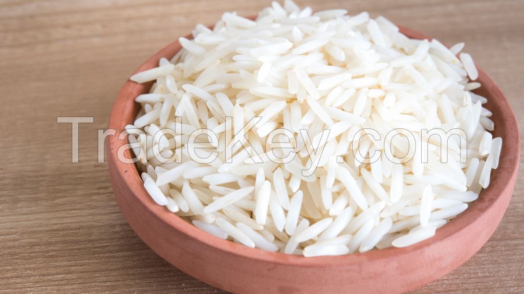 Long Grain Rice, Vegetables, Electric cars, pulses, cement, fly ash