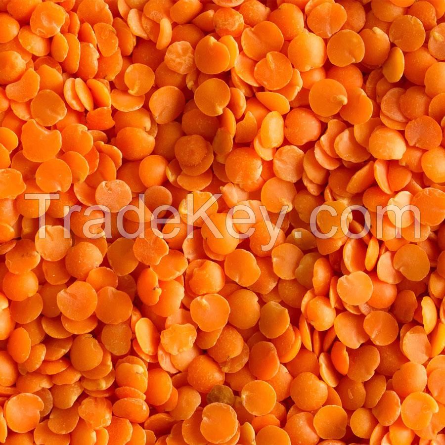 Red Lentils