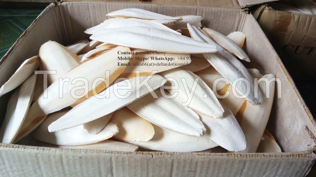 Dried Cuttlefish Bone/ Feed for bird/Pets /Turtle/