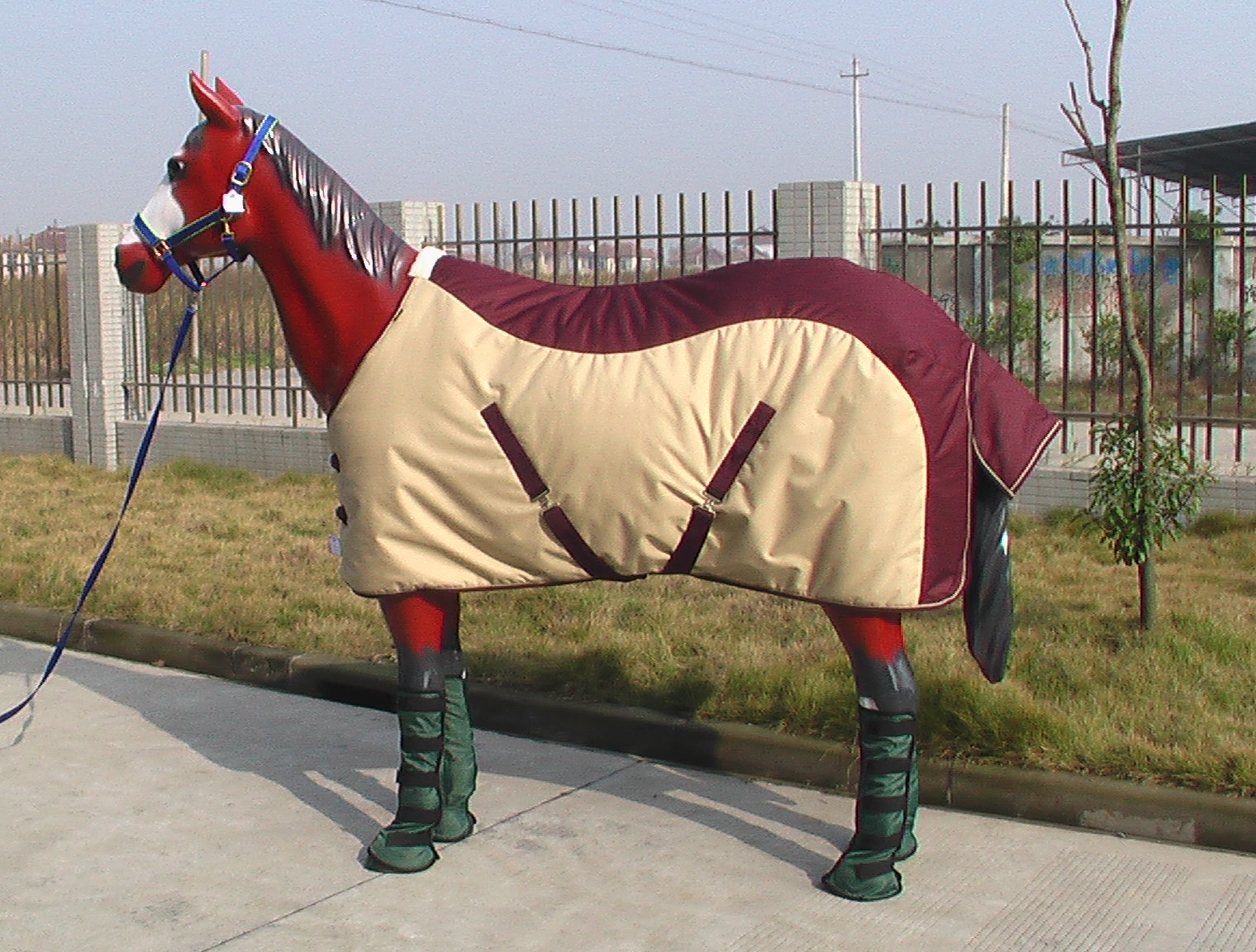 horse rugs