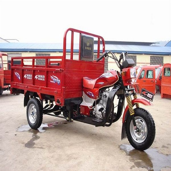 Cargo Tricycle