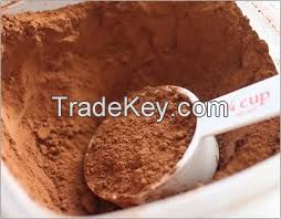 Chocolate Milk Powder