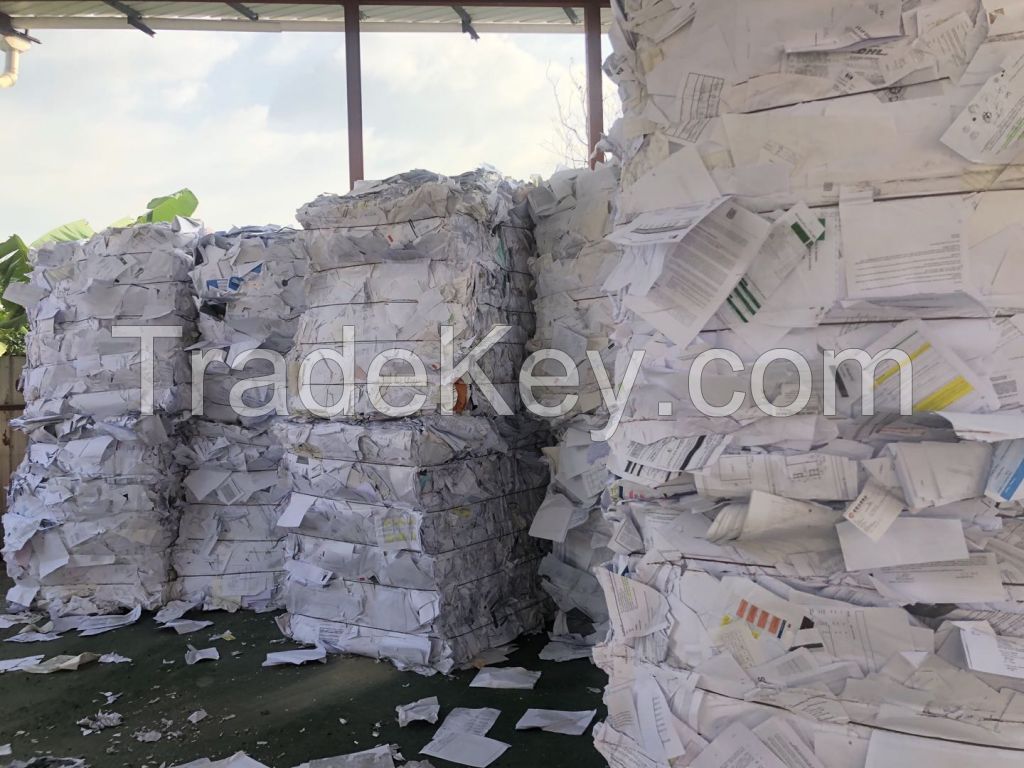 Sell waste paper Sorted White Ledger (SWL) 400MT/month