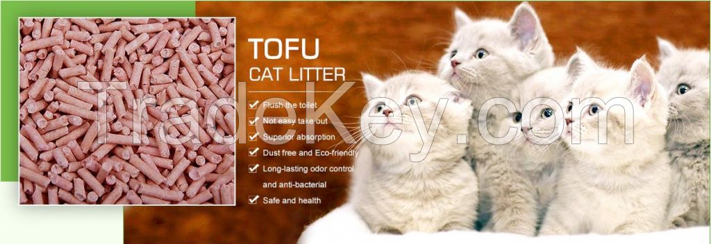 cat litter