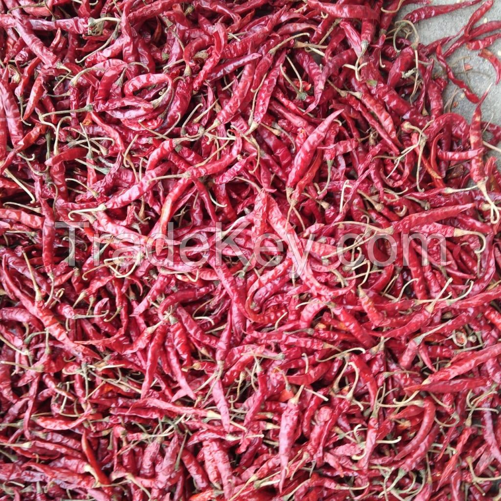 Teja S17 Dried Red Chilli