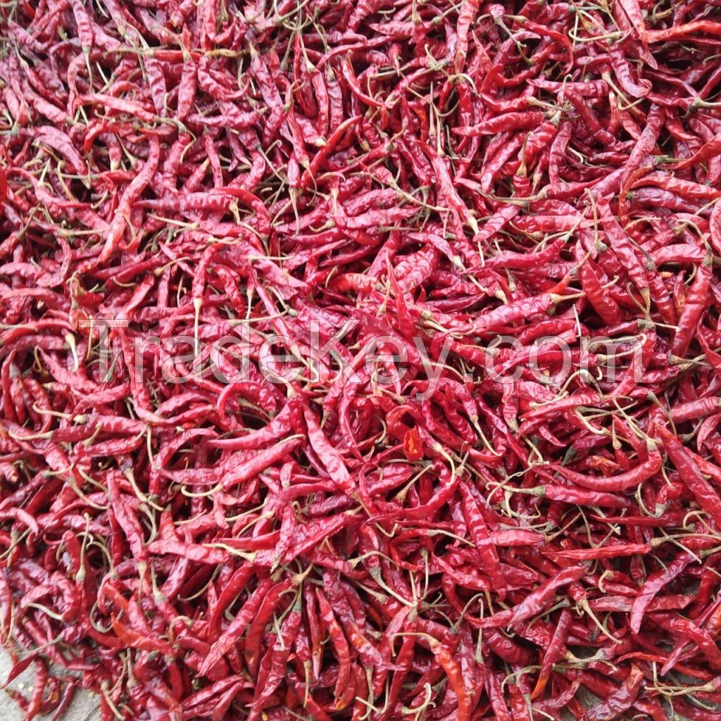 Teja S17 Dried Red Chilli