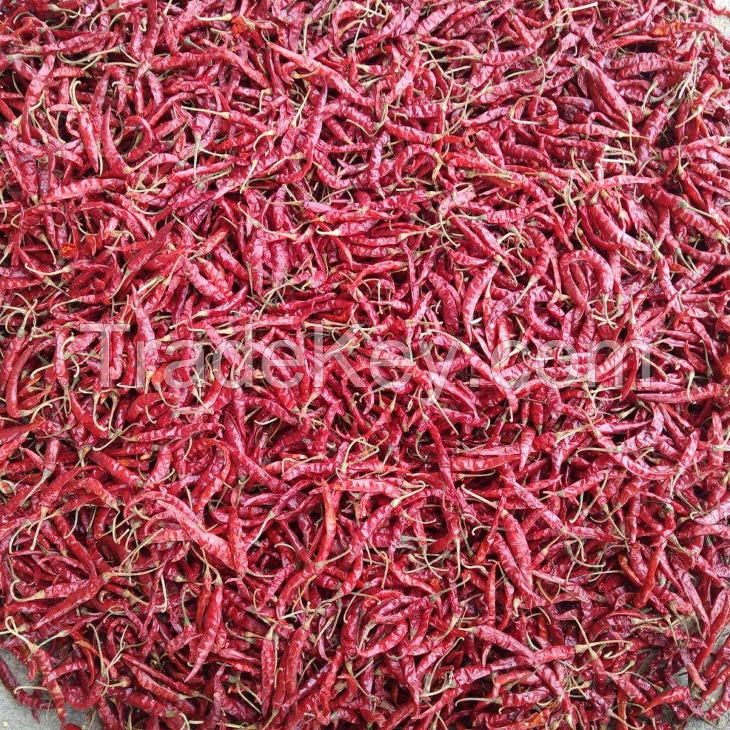 Teja S17 Dried Red Chilli