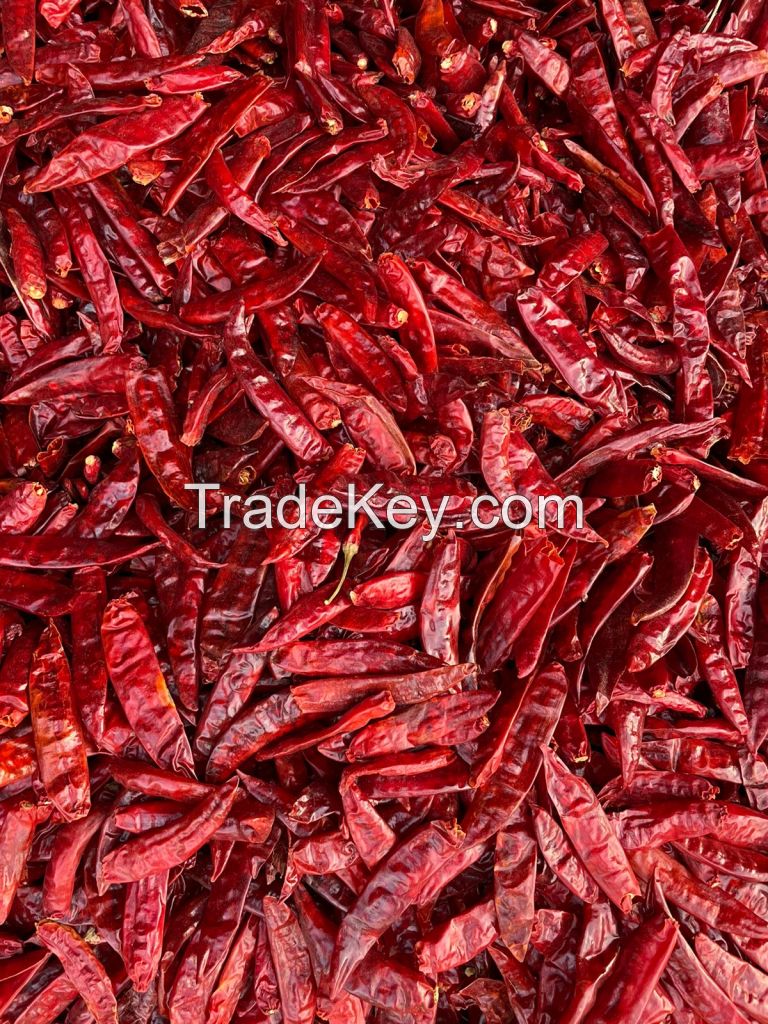 334 / S4 Sannam Dried Red Chilli