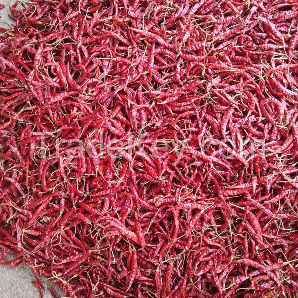 Teja S17 Dried Red Chilli