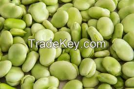 BULK LIMA BEANS FOR SALE