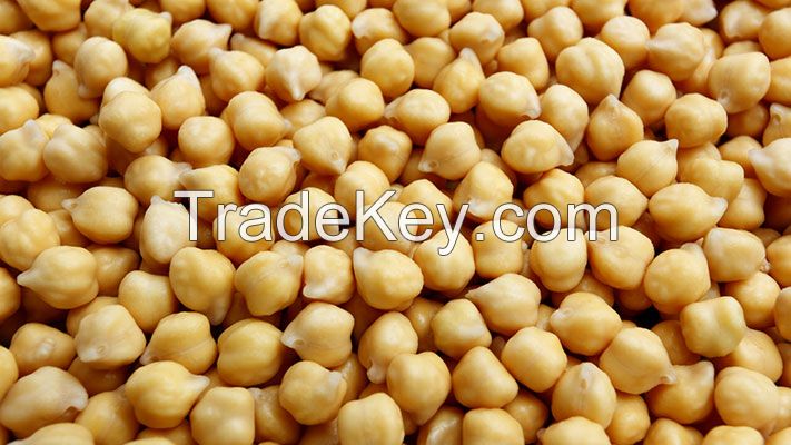 Ethiopian Chickpeas