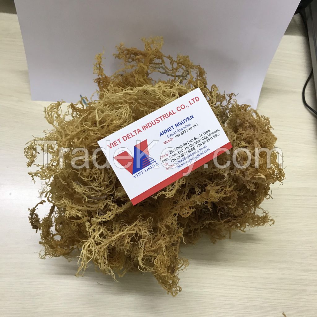 100% Dried Pure Organic Seamoss/ IRISH MOSS SEAWEED / Annet Nguyen +84 973 249 162 