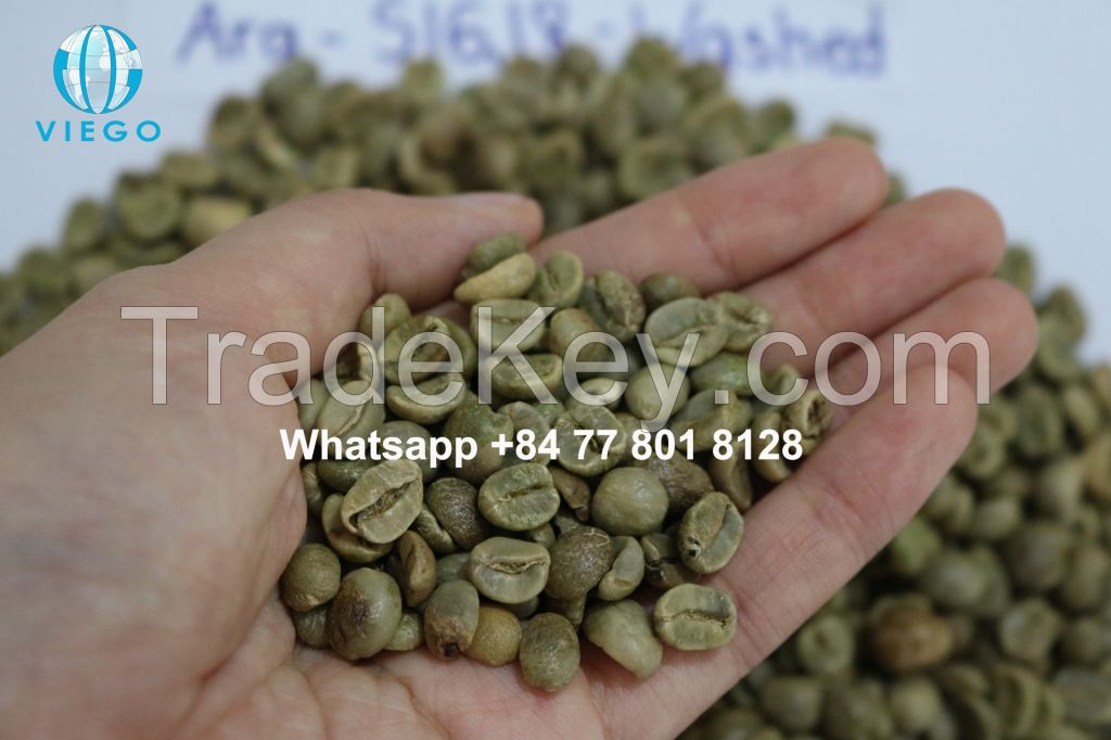 Vietnam Arabica green beans - S16,18 - Grade 1 - Viego Global - Whatsapp +84 77 801 8128