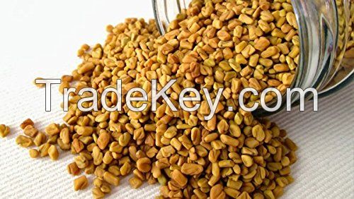 FENUGREEK SEEDS
