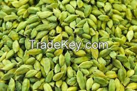 CARDAMOM FOR SMALL AND LARGE 6MM TO 8, 09 MM
