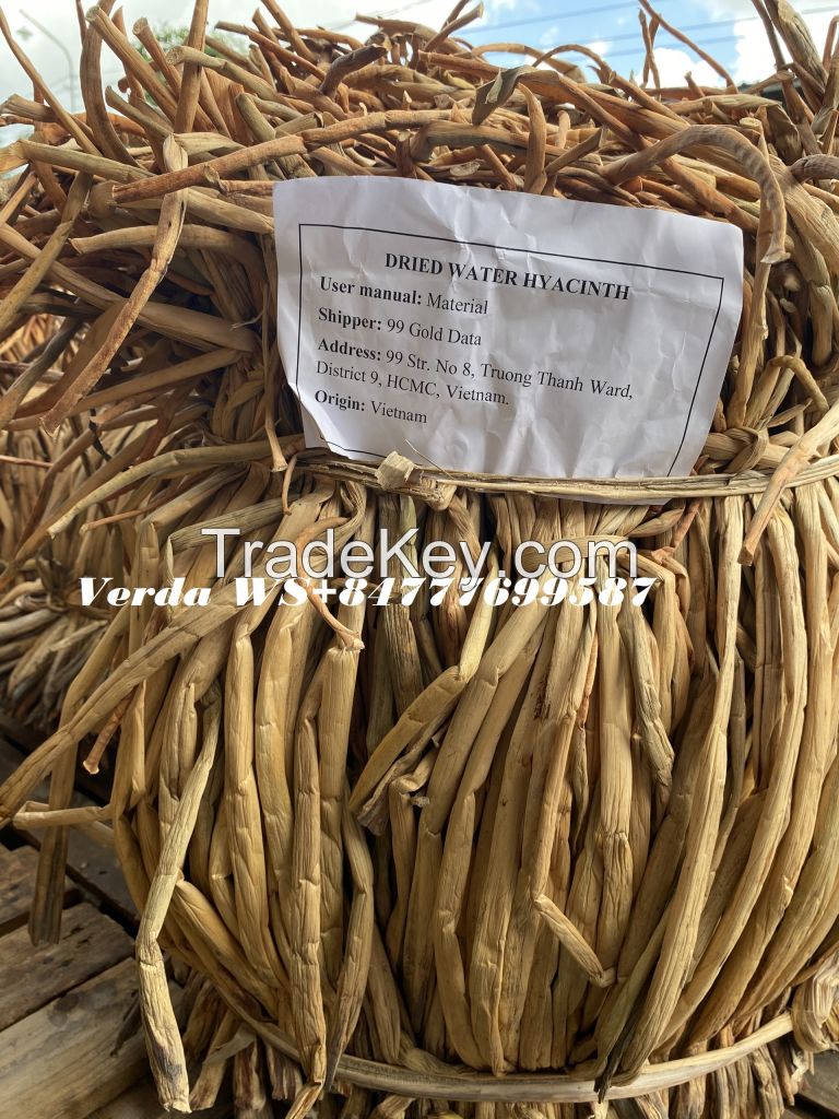 DRIED RAW WATER HYACINTH MATERIAL FOR MAKING BASKET (WS+84777699587)