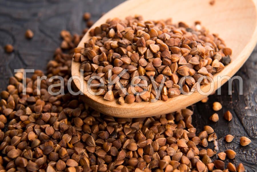 High Quality Buckwheat