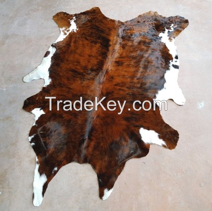 salted Donkey hides for sale