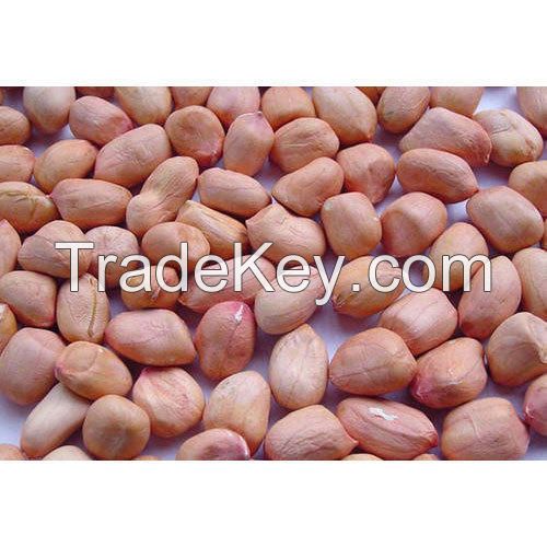 peanuts for sale By Senel B.V, USA