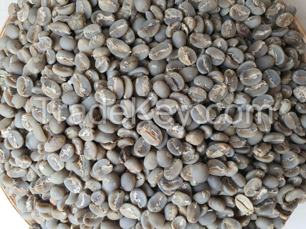 Arabica Coffee Beans - JAVA IJEN