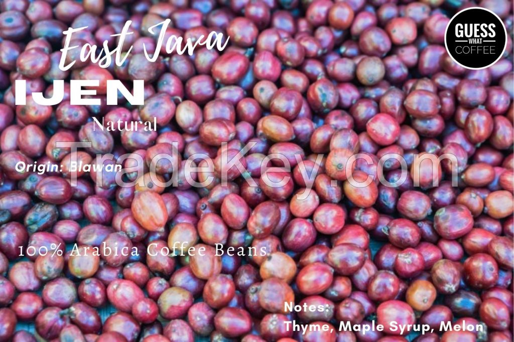 Arabica Coffee Beans - JAVA IJEN (NATURAL PROCESS)