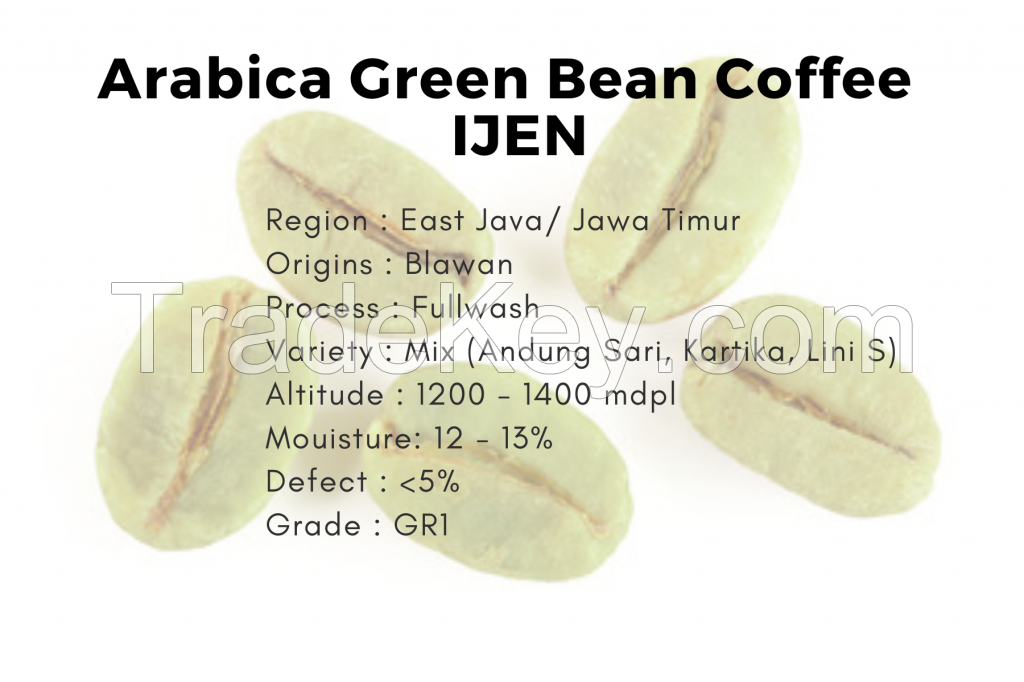 Arabica Coffee Beans - JAVA IJEN