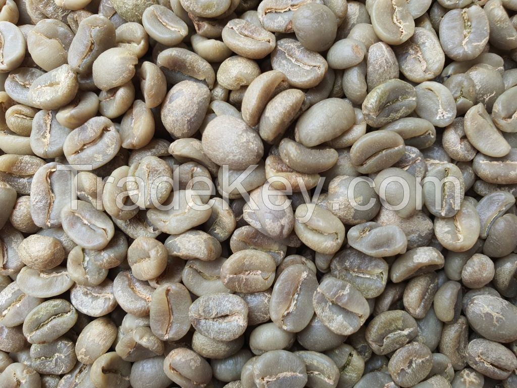 Arabica Coffee Beans - JAVA IJEN