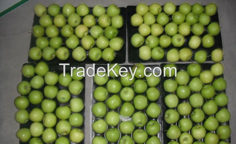  Apple Fruit Price  for sale 