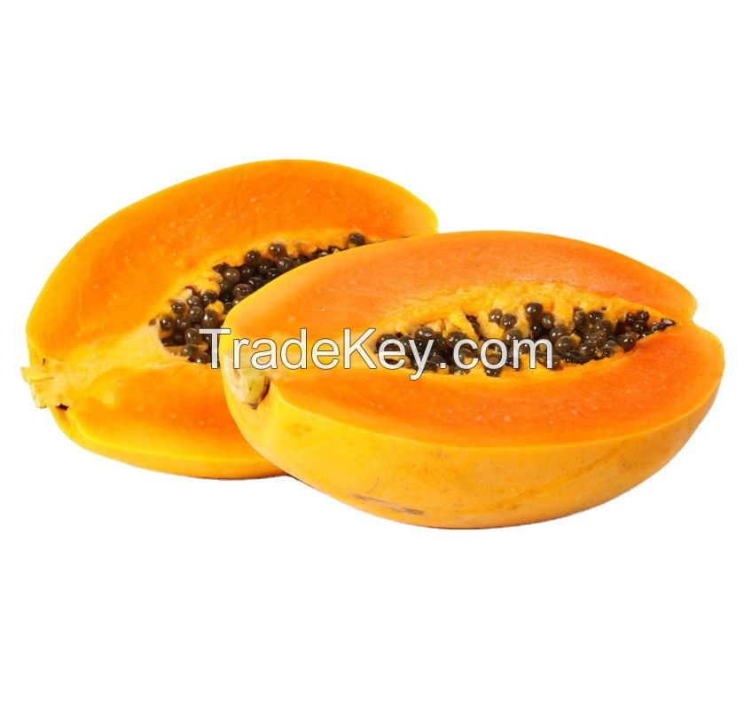  Fresh Papaya  Organic Papaya  For Sale  