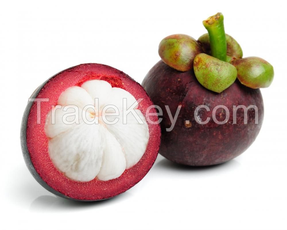 mangosteen fruit 