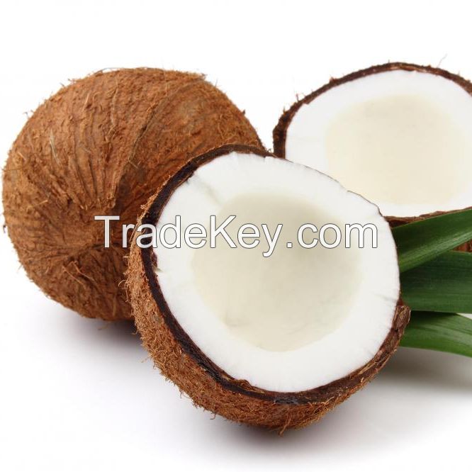 Husked Matured Coconut 