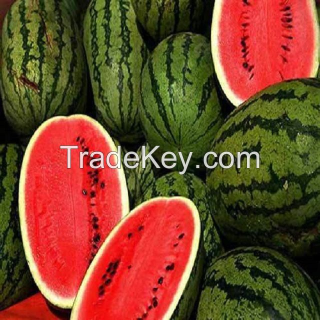 Fresh sweet Water Melons  