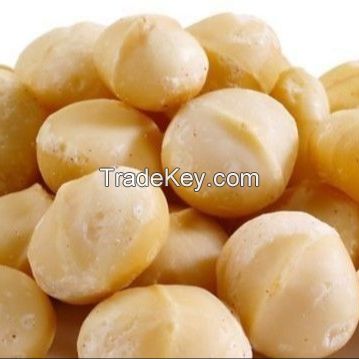 Raw Macadamia Nut (Shell and Shell off)