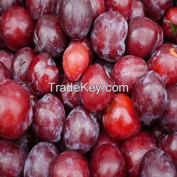 Fresh Plums for sale 