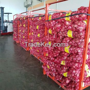 Best Quality Fresh Yellow Onion, Red Onion and White Onion For Sale 