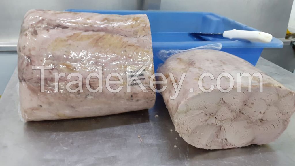 Precooked tuna loins for canned seafood from Ecuador