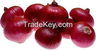 Fresh Red Onion