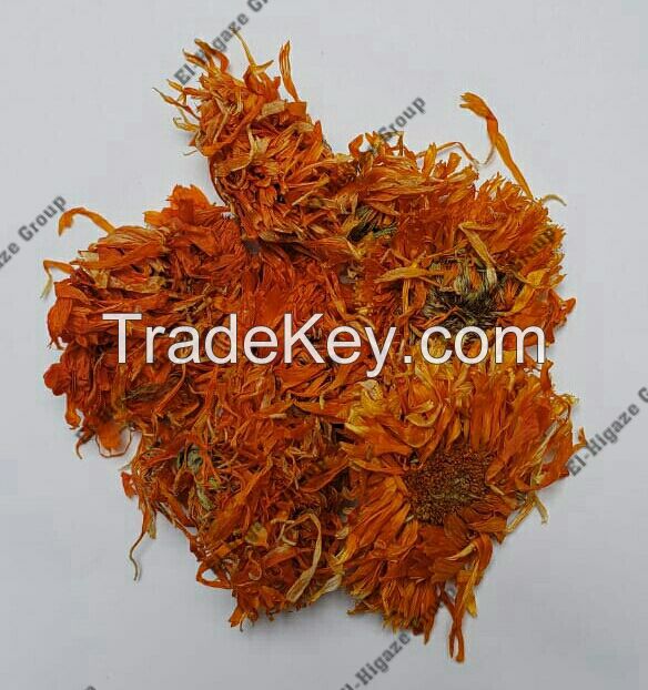 Calendula